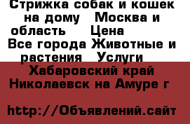 Стрижка собак и кошек на дому.  Москва и область.  › Цена ­ 1 200 - Все города Животные и растения » Услуги   . Хабаровский край,Николаевск-на-Амуре г.